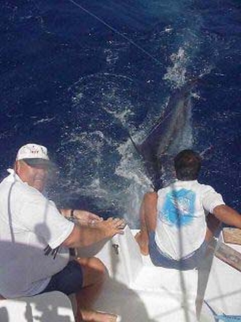 blue marlin Cavalier & Blue Marlin Sport Fishing Gran Canaria