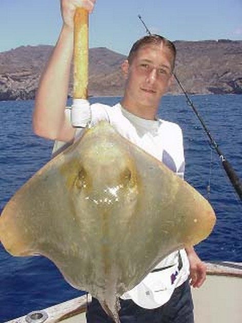 common stingray Cavalier & Blue Marlin Sport Fishing Gran Canaria