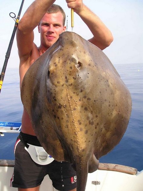 round stingray Cavalier & Blue Marlin Sport Fishing Gran Canaria