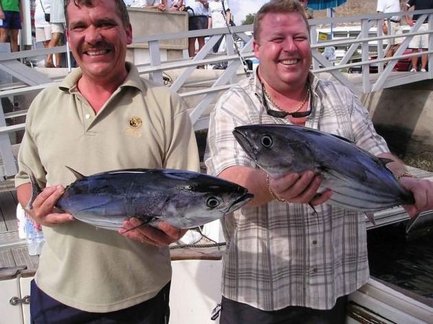 skipjack tuna Cavalier & Blue Marlin Sport Fishing Gran Canaria