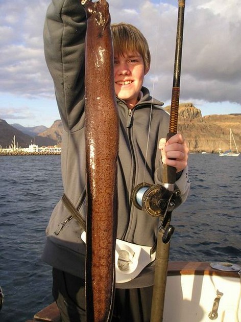 brown moray eel Cavalier & Blue Marlin Sport Fishing Gran Canaria