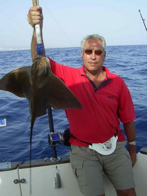 eagle ray Cavalier & Blue Marlin Sport Fishing Gran Canaria