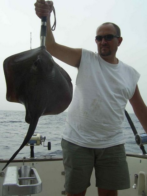 common stingray Cavalier & Blue Marlin Sport Fishing Gran Canaria