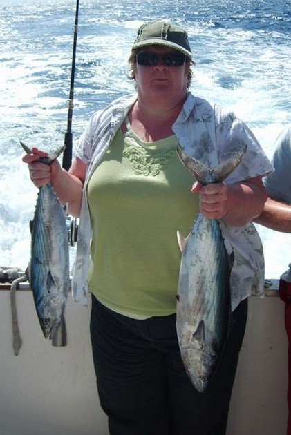 north atlantic bonito Cavalier & Blue Marlin Sport Fishing Gran Canaria