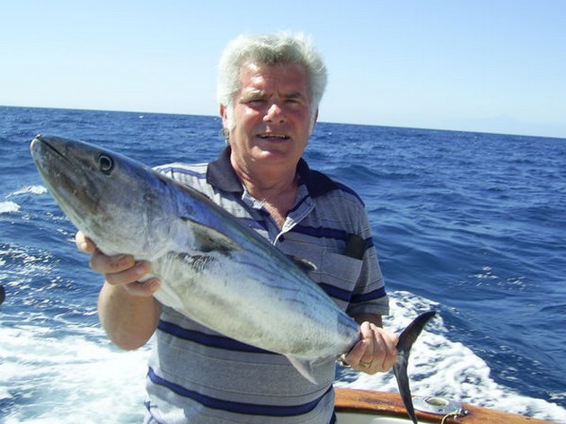 north atlantic bonito Cavalier & Blue Marlin Sport Fishing Gran Canaria