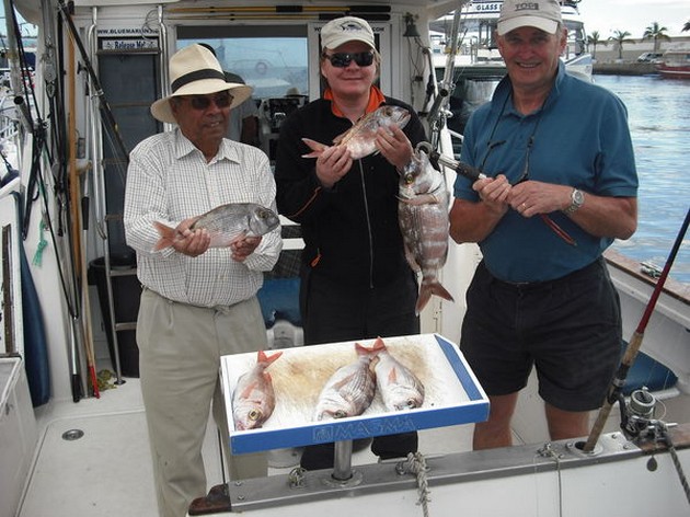 red snappers Cavalier & Blue Marlin Sport Fishing Gran Canaria