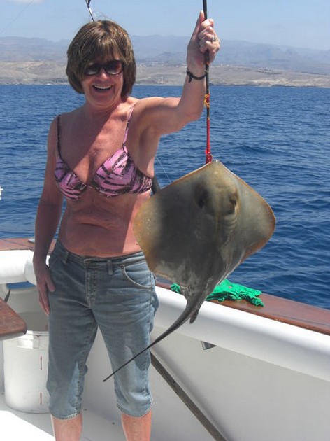 roughtail stingray Cavalier & Blue Marlin Sport Fishing Gran Canaria