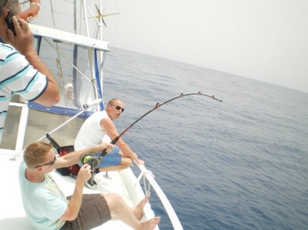 HAMMERHEAD SHARK CAVALIER fiskade i morse - Cavalier & Blue Marlin Sport Fishing Gran Canaria