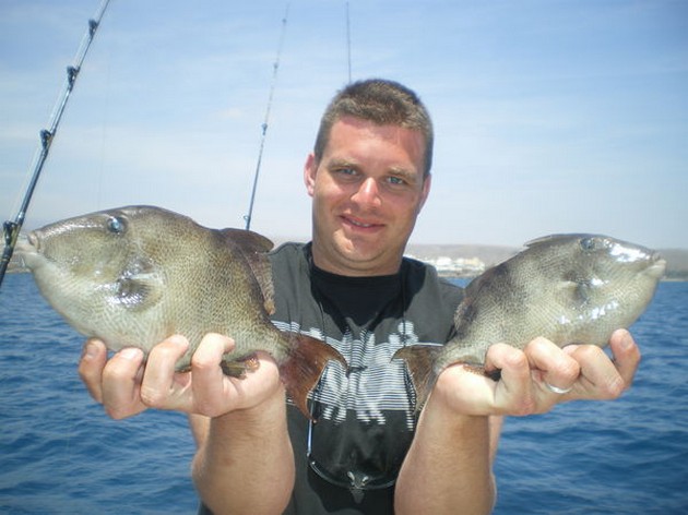 ROUGHTAIL STINGRAY EXPLORAMAR bokades idag - Cavalier & Blue Marlin Sport Fishing Gran Canaria