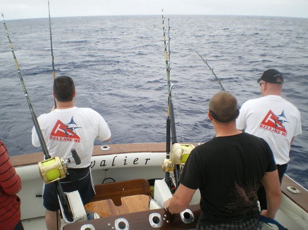 TROLLING Igår har båten CAVALIER trollat - Cavalier & Blue Marlin Sport Fishing Gran Canaria