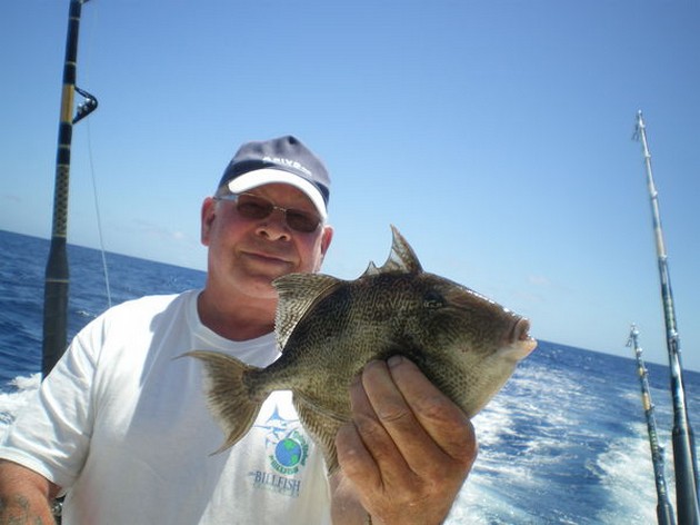 SKIPJACK TUNAS Idag Bas Schellekens, Karel de Jong - Cavalier & Blue Marlin Sport Fishing Gran Canaria