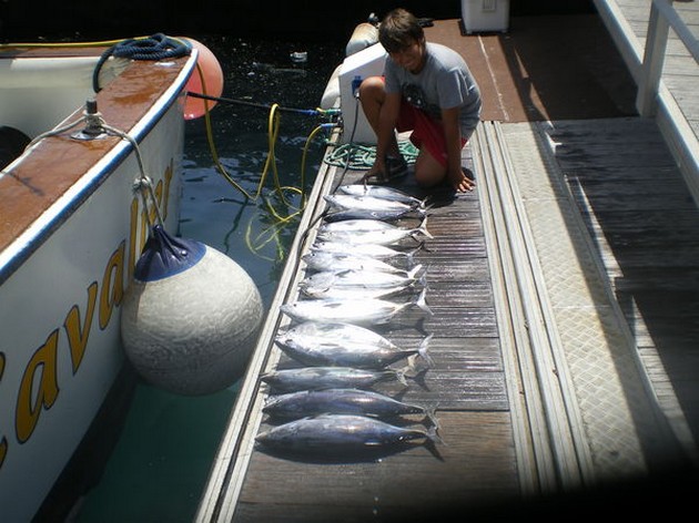 RIKTIGA SKIPJACKS EXPLORAMAR bokades idag som - Cavalier & Blue Marlin Sport Fishing Gran Canaria