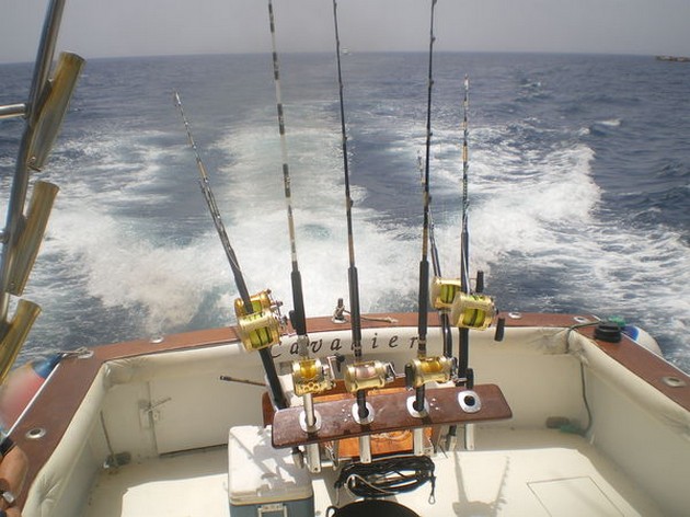 Många överhoppare Även idag har det fångats - Cavalier & Blue Marlin Sport Fishing Gran Canaria