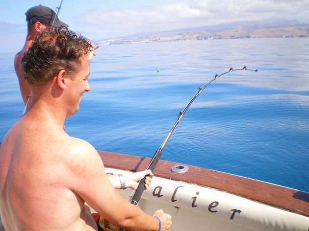 HAMMERHEAD SHARK RELEASED Idag var det för Lonell - Cavalier & Blue Marlin Sport Fishing Gran Canaria