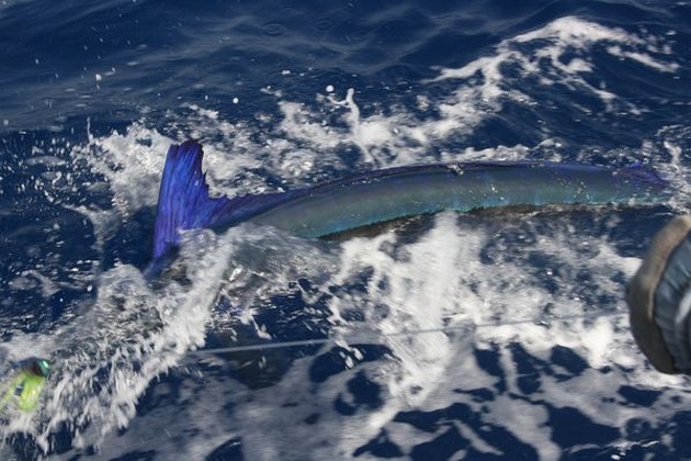 LYSTFISKEDAG Inte varje dag kan vara densamma. Och - Cavalier & Blue Marlin Sport Fishing Gran Canaria