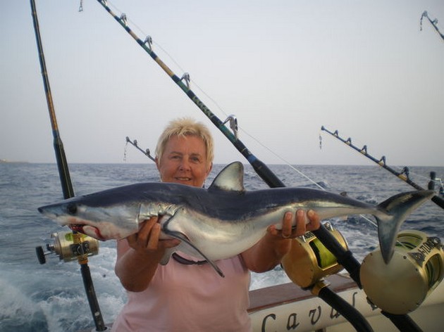 Hammarhaj Cavalier & Blue Marlin Sport Fishing Gran Canaria