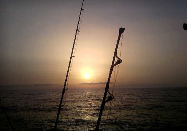 Revfiske - Cavalier & Blue Marlin Sport Fishing Gran Canaria