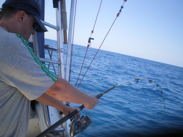 Revfiske - Cavalier & Blue Marlin Sport Fishing Gran Canaria