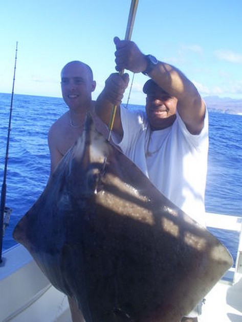 Baracuda - Cavalier & Blue Marlin Sport Fishing Gran Canaria