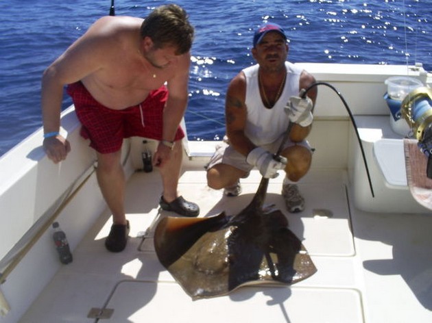 Röda snappers - Cavalier & Blue Marlin Sport Fishing Gran Canaria