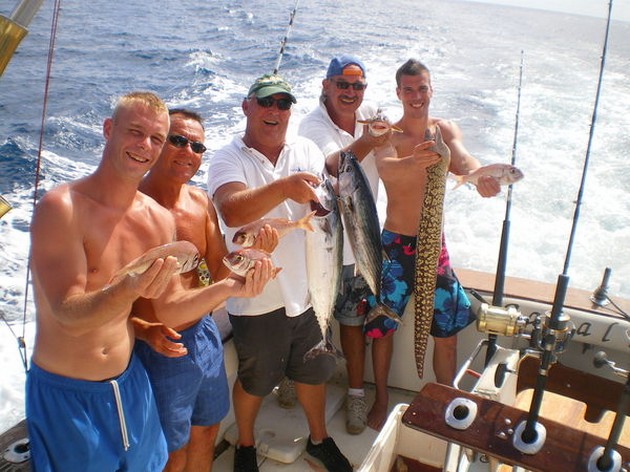 Bra fångster - Cavalier & Blue Marlin Sport Fishing Gran Canaria