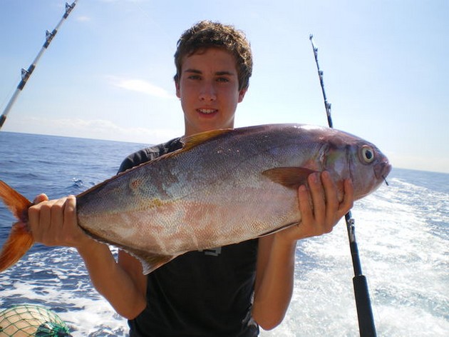 Amberjacks - Dorado's - Cavalier & Blue Marlin Sport Fishing Gran Canaria