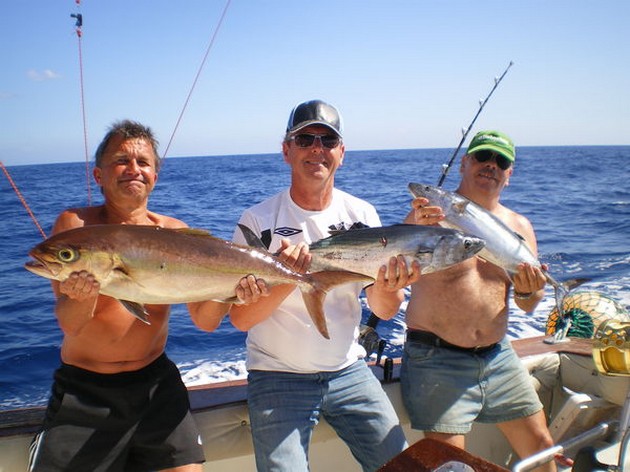 Bra fångster - Cavalier & Blue Marlin Sport Fishing Gran Canaria