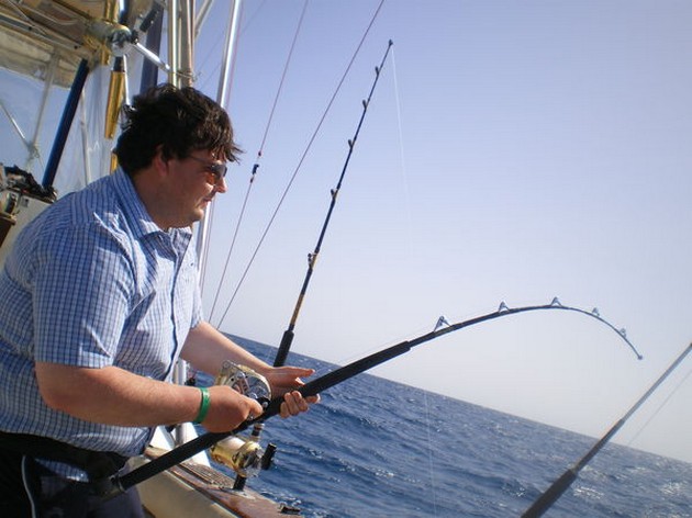 Mycket stora strålar - Cavalier & Blue Marlin Sport Fishing Gran Canaria