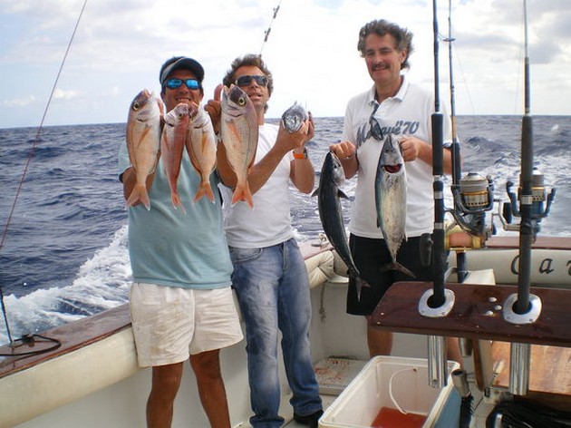 28 grader Celsius - Cavalier & Blue Marlin Sport Fishing Gran Canaria