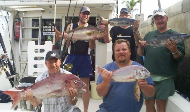 Röda snappers - Cavalier & Blue Marlin Sport Fishing Gran Canaria