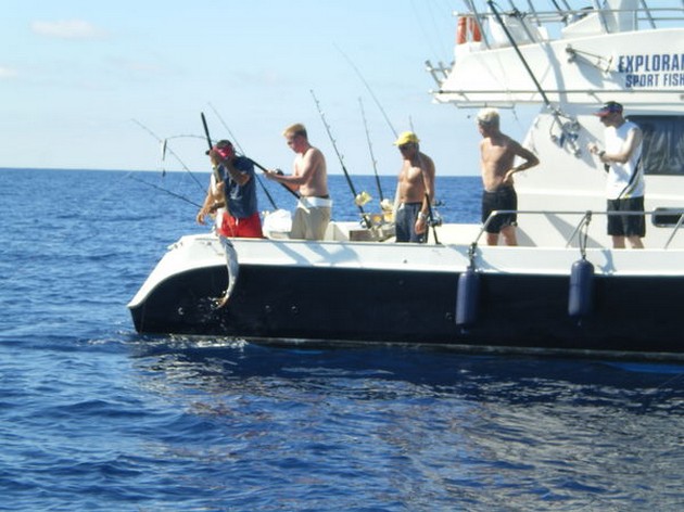 Röda snappers - Cavalier & Blue Marlin Sport Fishing Gran Canaria