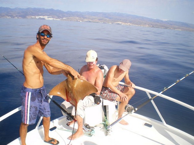 11,3 kg Amberjack - Cavalier & Blue Marlin Sport Fishing Gran Canaria