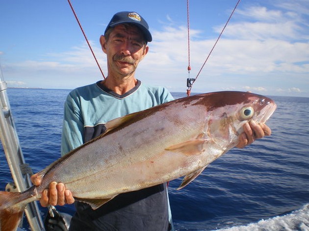 Amberjack Cavalier & Blue Marlin Sport Fishing Gran Canaria