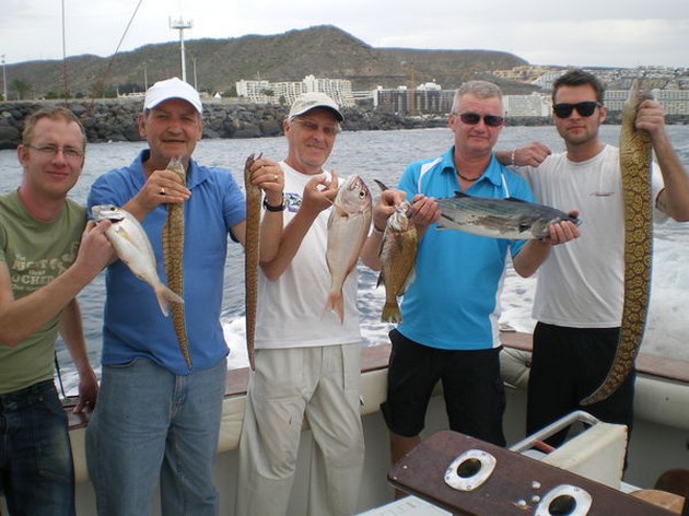 Tiger Moray - Cavalier & Blue Marlin Sport Fishing Gran Canaria