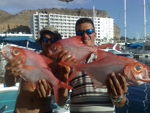 SUNNY MEN WINDY På grund av en alltför hård västvind vi - Cavalier & Blue Marlin Sport Fishing Gran Canaria