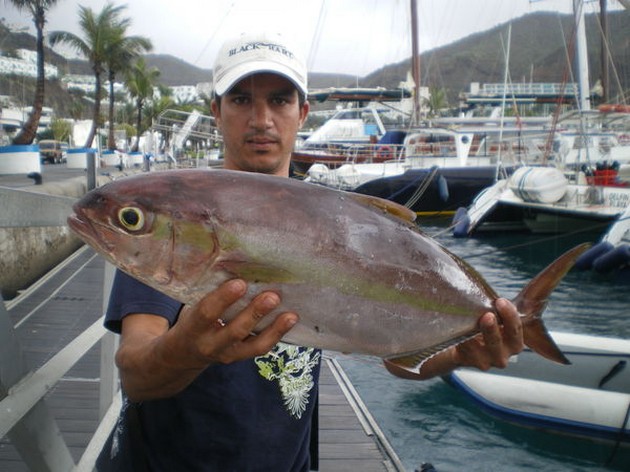 INKONSISTENT Det var i morse båten CAVALIER - Cavalier & Blue Marlin Sport Fishing Gran Canaria