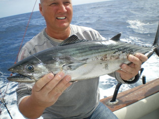 Amberjack - Cavalier & Blue Marlin Sport Fishing Gran Canaria