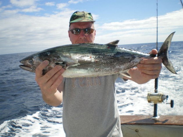 Atlantisk Sierra tonfisk - Cavalier & Blue Marlin Sport Fishing Gran Canaria