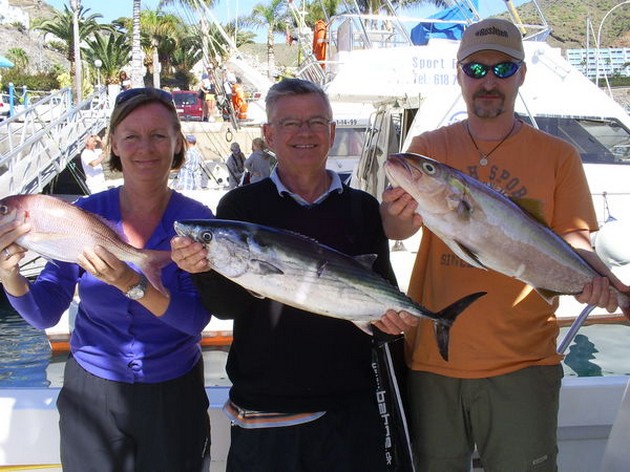 Crevalle Jack - Cavalier & Blue Marlin Sport Fishing Gran Canaria