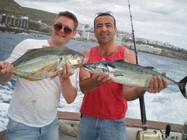 Gul svans - Cavalier & Blue Marlin Sport Fishing Gran Canaria