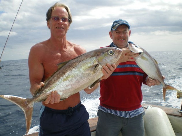 Bra fångster - Cavalier & Blue Marlin Sport Fishing Gran Canaria