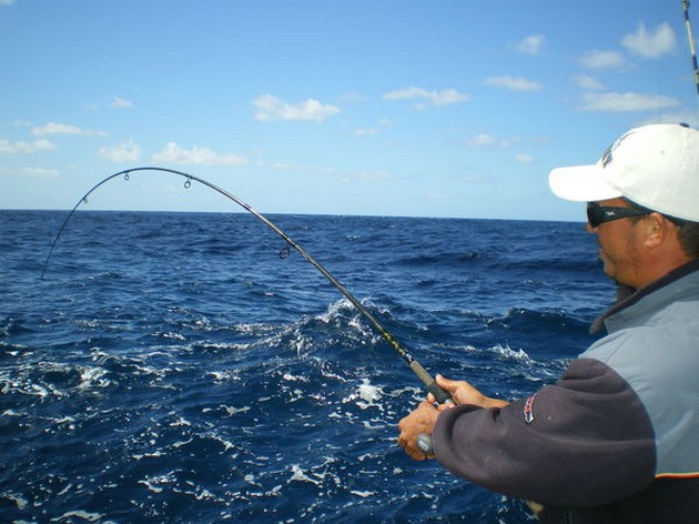 Röda snappers - Cavalier & Blue Marlin Sport Fishing Gran Canaria