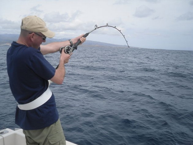 Amberjacks - Cavalier & Blue Marlin Sport Fishing Gran Canaria