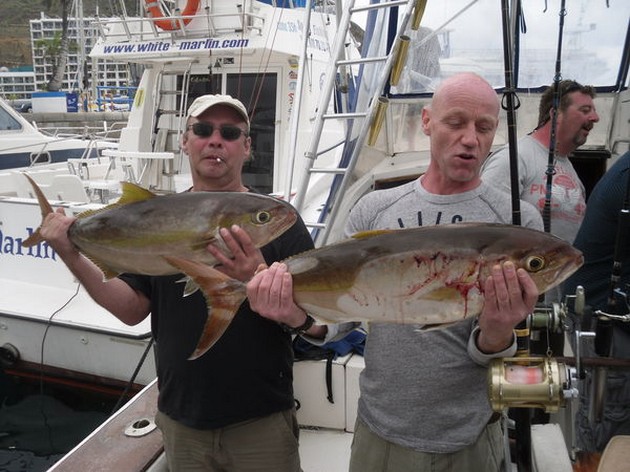 Amberjacks - Cavalier & Blue Marlin Sport Fishing Gran Canaria