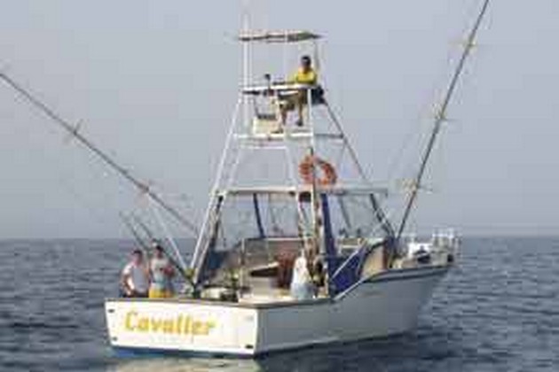 Blåfenad tonfisk 2 - Cavalier & Blue Marlin Sport Fishing Gran Canaria