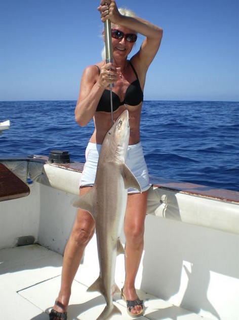 Tope - Cavalier & Blue Marlin Sport Fishing Gran Canaria