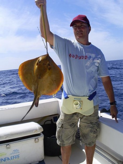 Sting Rays - Cavalier & Blue Marlin Sport Fishing Gran Canaria