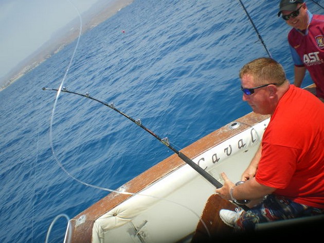 Ängelhajar - Cavalier & Blue Marlin Sport Fishing Gran Canaria