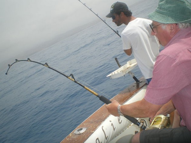 Ny båtrekord - Cavalier & Blue Marlin Sport Fishing Gran Canaria