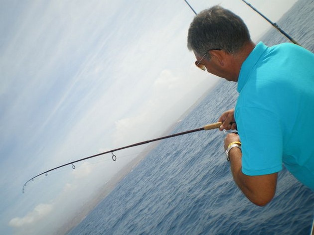 Bra fångster - Cavalier & Blue Marlin Sport Fishing Gran Canaria